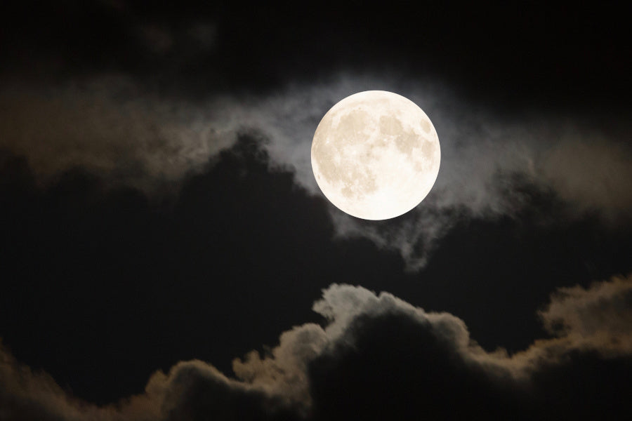 Working with the Moon: A Gentle Guide to Lunar Rituals